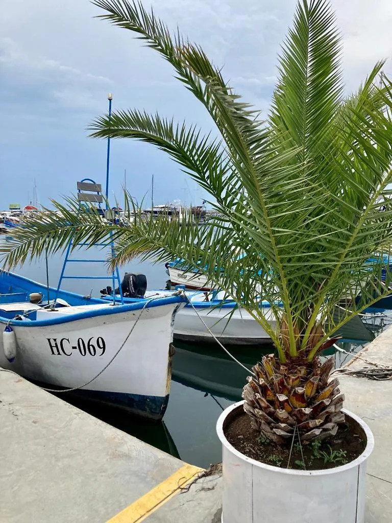 Sun Wave Apartment Near The Sea Μπουργκάς